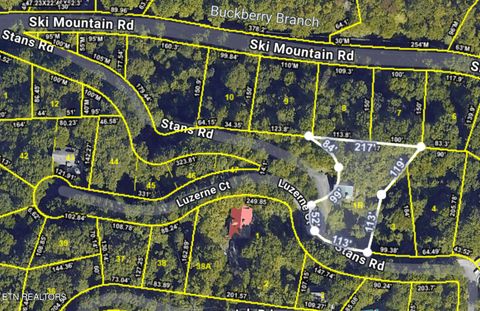 Tiny photo for 960 Stans Rd, Gatlinburg, TN 37738 (MLS # 1327725)