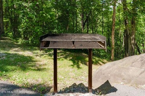 Tiny photo for 960 Stans Rd, Gatlinburg, TN 37738 (MLS # 1327725)