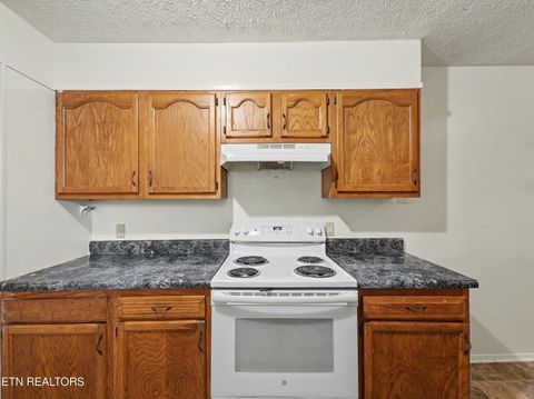 Tiny photo for 1817 Rosedale Ave, Knoxville, TN 37915 (MLS # 1340657)
