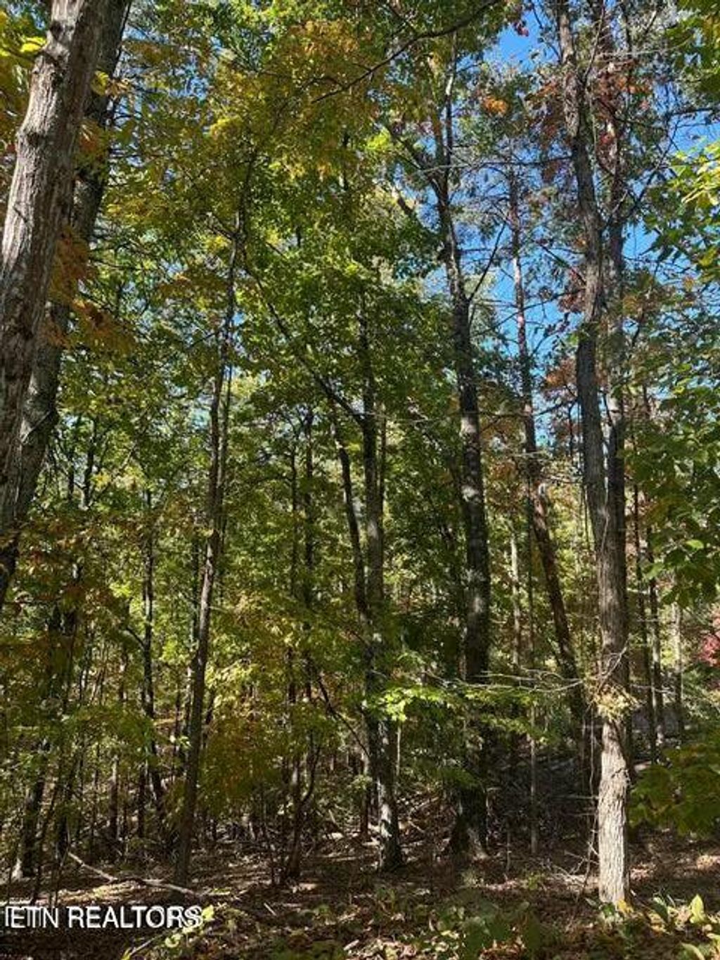 Photo of Smoky Mountain View Drive, Seymour, TN 37865 (MLS # 1286392)