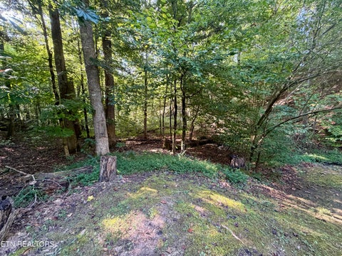 Tiny photo for 204 Black Fox Rd, Washburn, TN 37888 (MLS # 1355073)