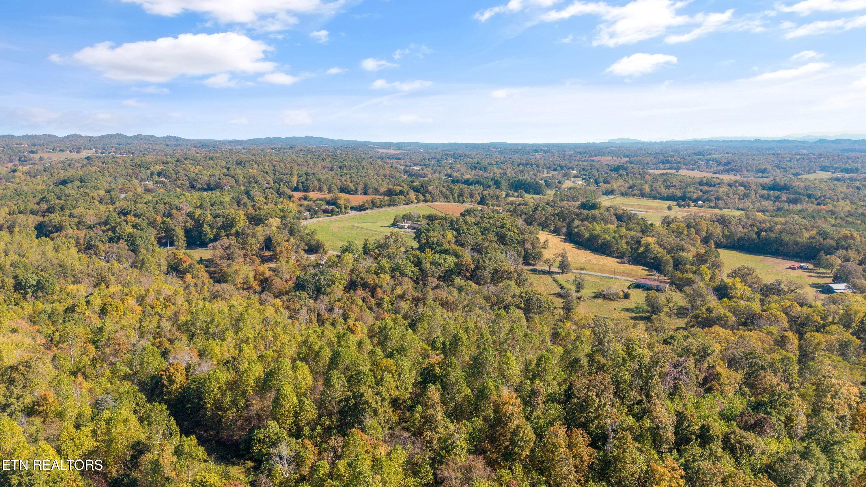 Lot 3 County Road 571