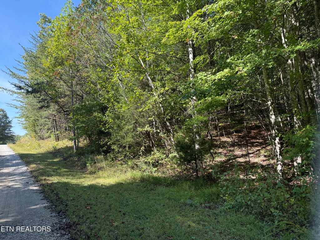 Photo of Bear Hollow Rd, Oneida, TN 37841 (MLS # 1357259)