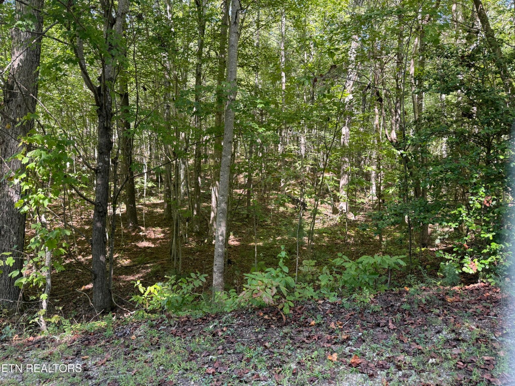 Photo of Bear Hollow Rd, Oneida, TN 37841 (MLS # 1357259)