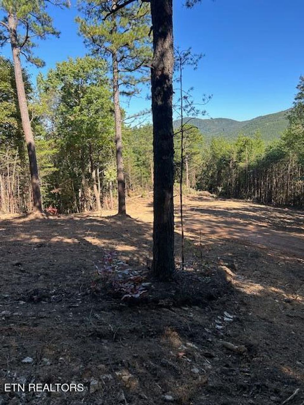 Photo of 12 Smithfield Rd, Tellico Plains, TN 37385 (MLS # 1279689)