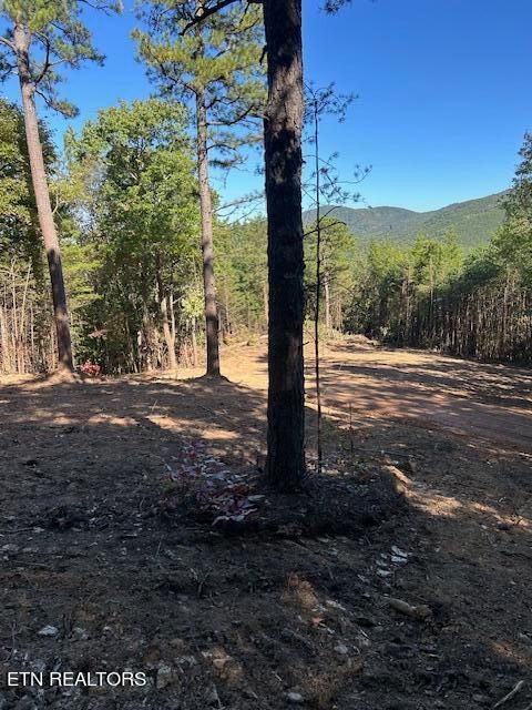 012 Smithfield Rd Tellico Plains TN 37385