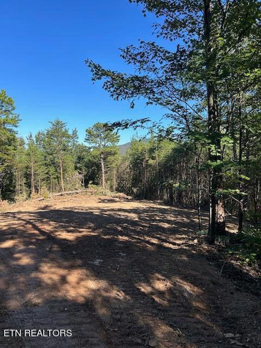 Photo of 12 Smithfield Rd, Tellico Plains, TN 37385 (MLS # 1279689)