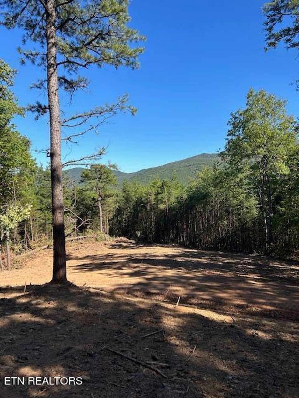 Photo of 12 Smithfield Rd, Tellico Plains, TN 37385 (MLS # 1279689)