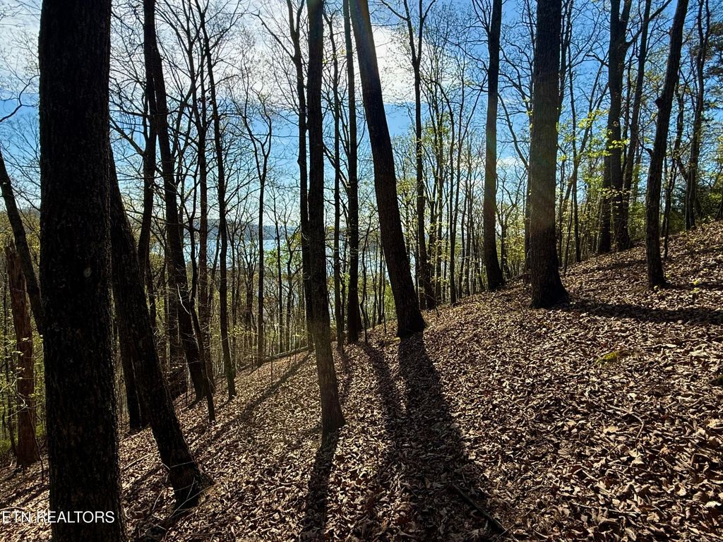 Photo of Eerie Point #39 &amp; 40, Rockwood, TN 37854 (MLS # 1335175)