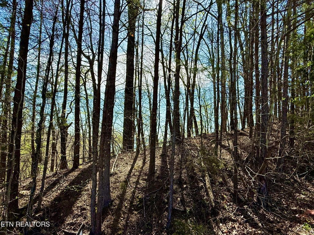 Photo of Eerie Point #39 &amp; 40, Rockwood, TN 37854 (MLS # 1335175)