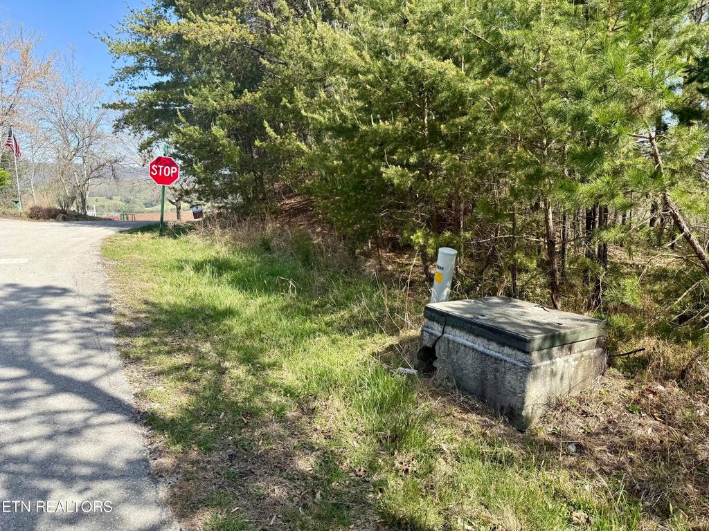 Photo of Eerie Point #39 &amp; 40, Rockwood, TN 37854 (MLS # 1335175)
