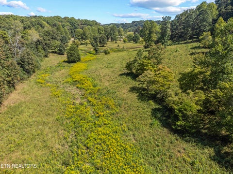 Tiny photo for 191 County Road 244, Athens, TN 37303 (MLS # 1356003)