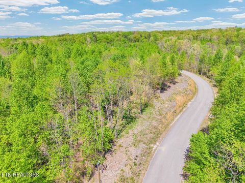 Photo of 0 Overlook Drive, Spencer, TN 38585 (MLS # 1337697)