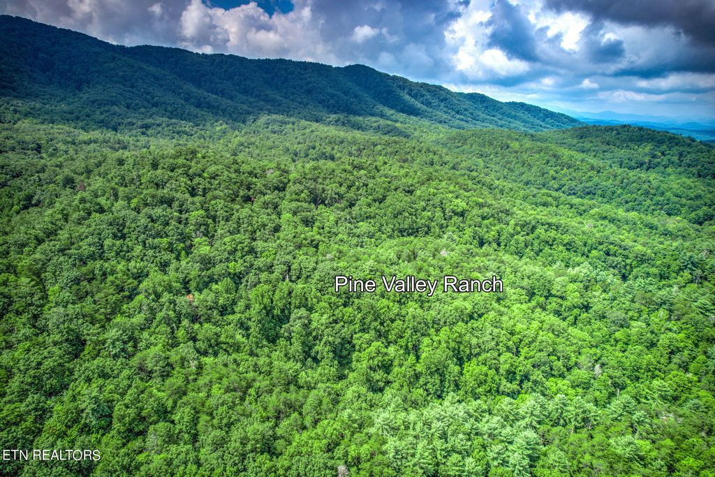 Photo of Paint Horse Way Lot #8, Sevierville, TN 37876 (MLS # 1275830)