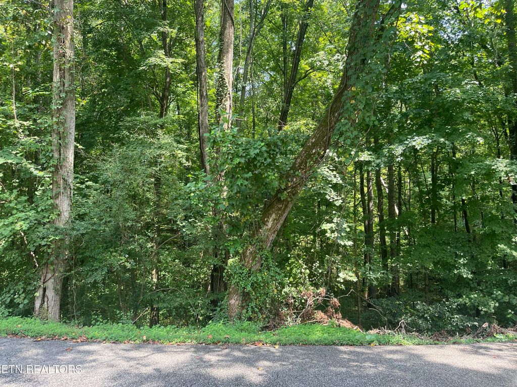 Photo of Powder House Rd, Powell, TN 37849 (MLS # 1315064)