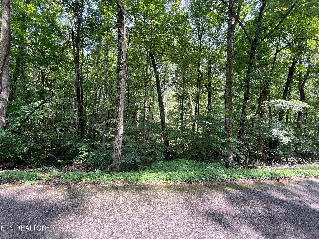 Photo of Powder House Rd, Powell, TN 37849 (MLS # 1315064)