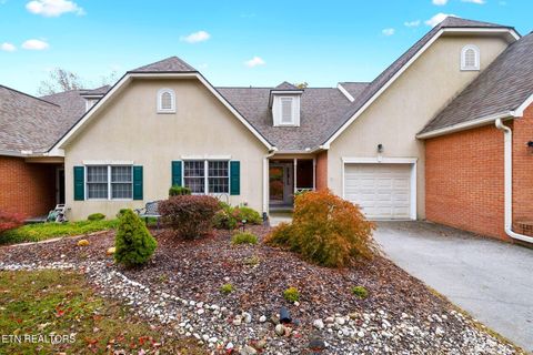 Photo of 375 Paine Lake Drive, Sevierville, TN 37862 (MLS # 1320621)