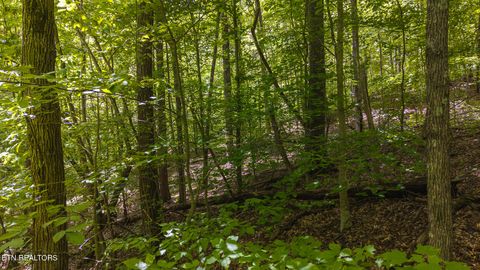 Tiny photo for 187 Cottage Lane, New Tazewell, TN 37825 (MLS # 1333120)