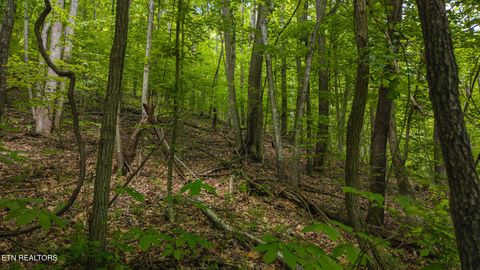 Tiny photo for 187 Cottage Lane, New Tazewell, TN 37825 (MLS # 1333120)