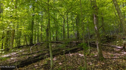 Tiny photo for 187 Cottage Lane, New Tazewell, TN 37825 (MLS # 1333120)