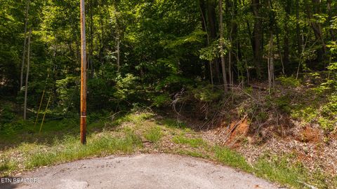 Tiny photo for 187 Cottage Lane, New Tazewell, TN 37825 (MLS # 1333120)