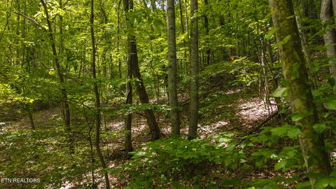 Tiny photo for 187 Cottage Lane, New Tazewell, TN 37825 (MLS # 1333120)