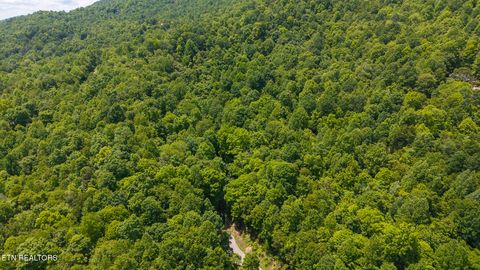 Photo of 187 Cottage Lane, New Tazewell, TN 37825 (MLS # 1333120)