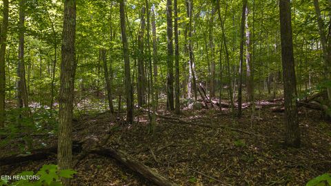 Tiny photo for 187 Cottage Lane, New Tazewell, TN 37825 (MLS # 1333120)