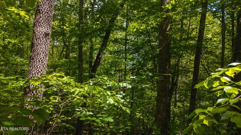 Tiny photo for 187 Cottage Lane, New Tazewell, TN 37825 (MLS # 1333120)