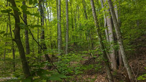 Tiny photo for 187 Cottage Lane, New Tazewell, TN 37825 (MLS # 1333120)