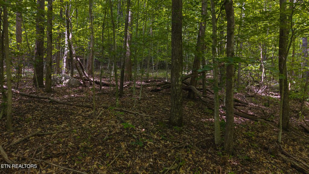 Photo of 187 Cottage Lane, New Tazewell, TN 37825 (MLS # 1333120)