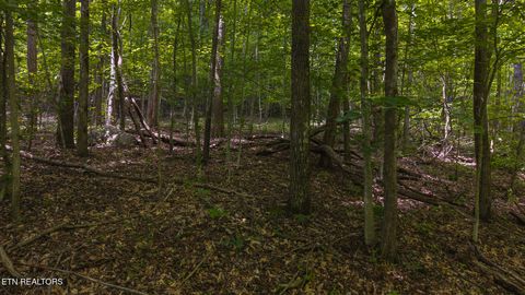 Tiny photo for 187 Cottage Lane, New Tazewell, TN 37825 (MLS # 1333120)