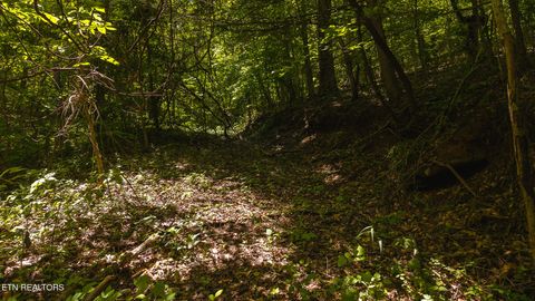 Tiny photo for 187 Cottage Lane, New Tazewell, TN 37825 (MLS # 1333120)