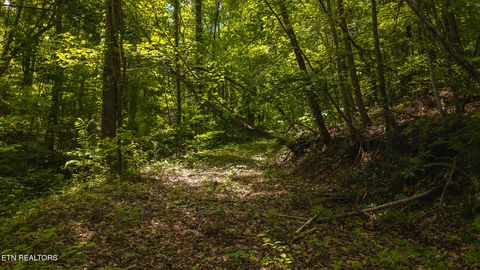 Tiny photo for 187 Cottage Lane, New Tazewell, TN 37825 (MLS # 1333120)