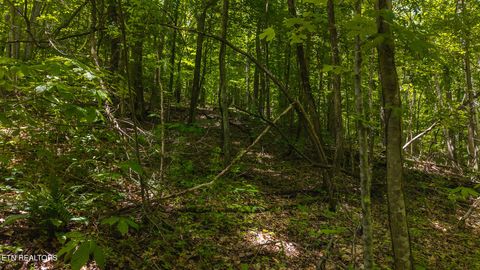 Tiny photo for 187 Cottage Lane, New Tazewell, TN 37825 (MLS # 1333120)