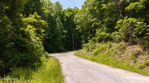 Tiny photo for 187 Cottage Lane, New Tazewell, TN 37825 (MLS # 1333120)