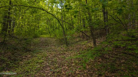 Tiny photo for 187 Cottage Lane, New Tazewell, TN 37825 (MLS # 1333120)