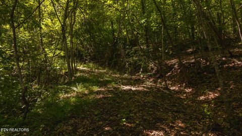 Tiny photo for 187 Cottage Lane, New Tazewell, TN 37825 (MLS # 1333120)