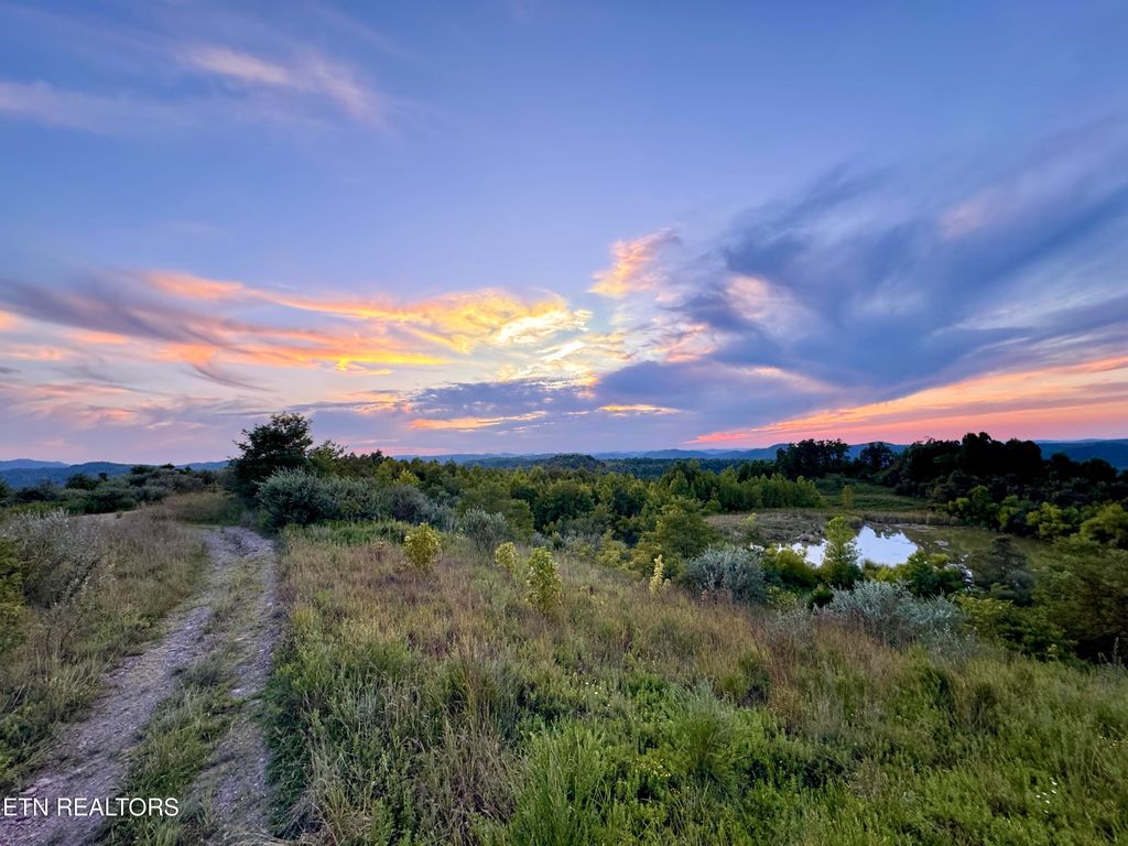 Photo of 207 Lick Fork Lane, Pioneer, TN 37847 (MLS # 1327838)