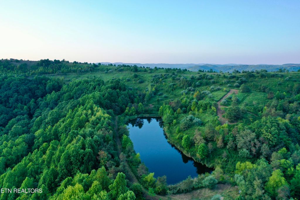 Photo of 207 Lick Fork Lane, Pioneer, TN 37847 (MLS # 1327838)