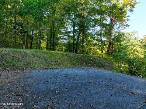 Tiny photo for 1020 Pine Top Lane, Gatlinburg, TN 37738 (MLS # 1318807)