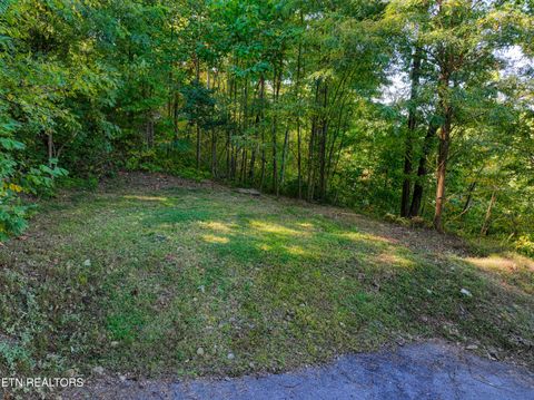 Photo of 1020 Pine Top Lane, Gatlinburg, TN 37738 (MLS # 1318807)