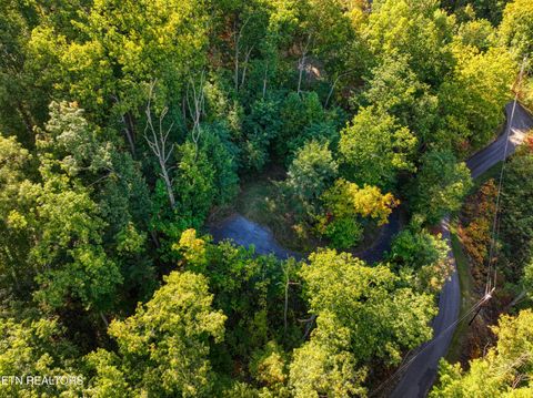 Tiny photo for 1020 Pine Top Lane, Gatlinburg, TN 37738 (MLS # 1318807)