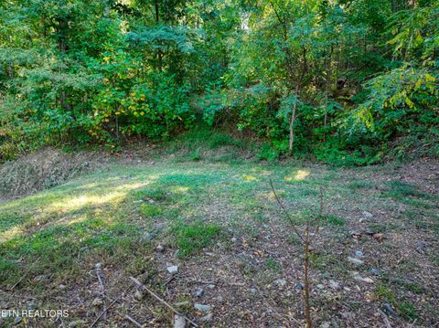 Tiny photo for 1020 Pine Top Lane, Gatlinburg, TN 37738 (MLS # 1318807)
