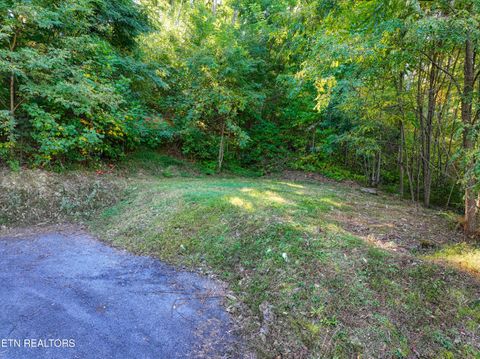 Tiny photo for 1020 Pine Top Lane, Gatlinburg, TN 37738 (MLS # 1318807)
