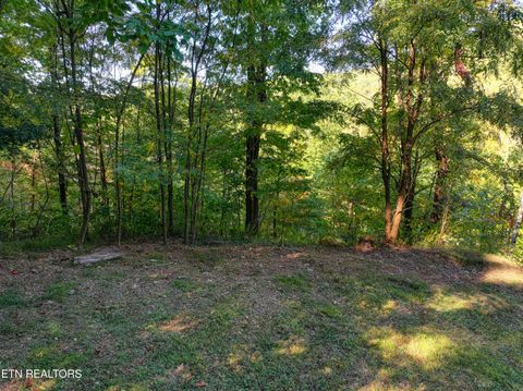 Tiny photo for 1020 Pine Top Lane, Gatlinburg, TN 37738 (MLS # 1318807)