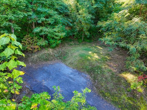 Tiny photo for 1020 Pine Top Lane, Gatlinburg, TN 37738 (MLS # 1318807)