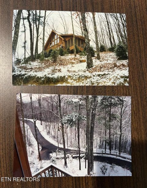 Tiny photo for 1020 Pine Top Lane, Gatlinburg, TN 37738 (MLS # 1318807)