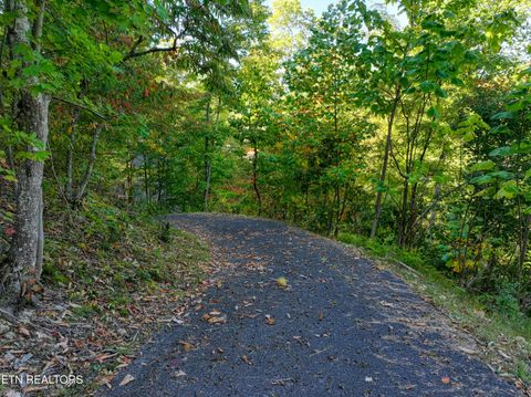 Tiny photo for 1020 Pine Top Lane, Gatlinburg, TN 37738 (MLS # 1318807)