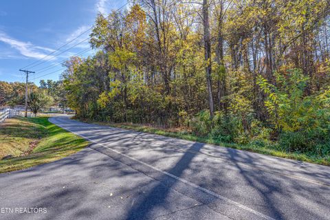 Tiny photo for 22 Green Hill Rd, Dandridge, TN 37725 (MLS # 1321292)